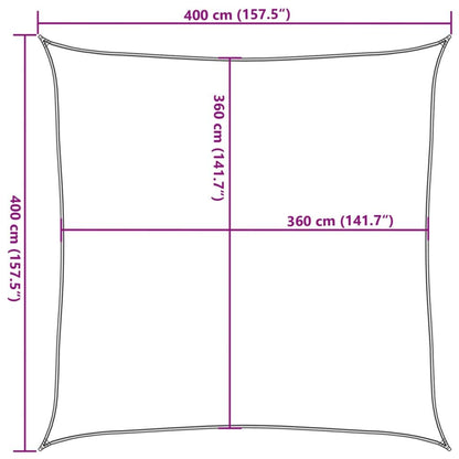 Vidaxl Toldo De Vela Hdpe Verde Claro 160 G/m² 4x4 M_2