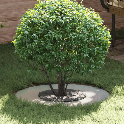 Adecuado Para Anillo De Árbol Plano Plateado Ø30 / 60 Cm_1