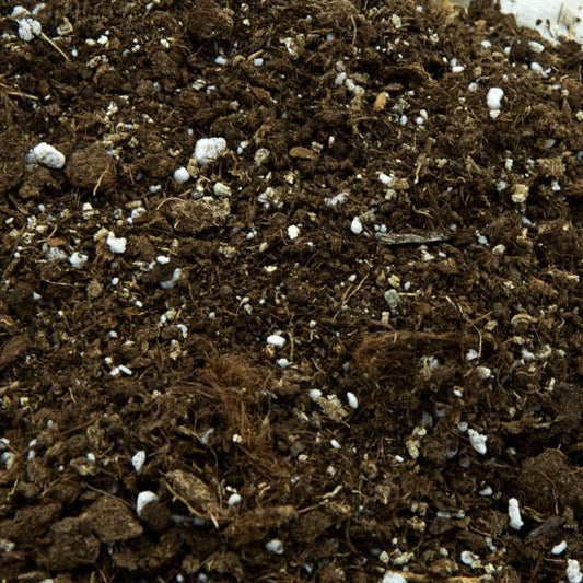 Sustrato Universal para carnívoras 1 L