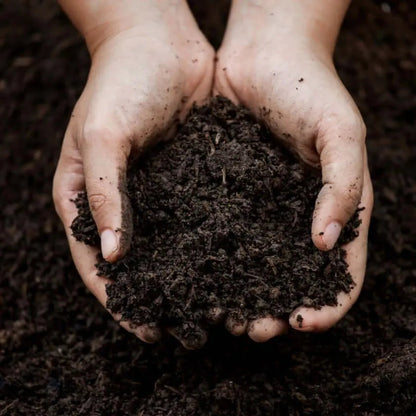 Bio Terra Mix | Compost Eco Completo / Saco 15 L._0