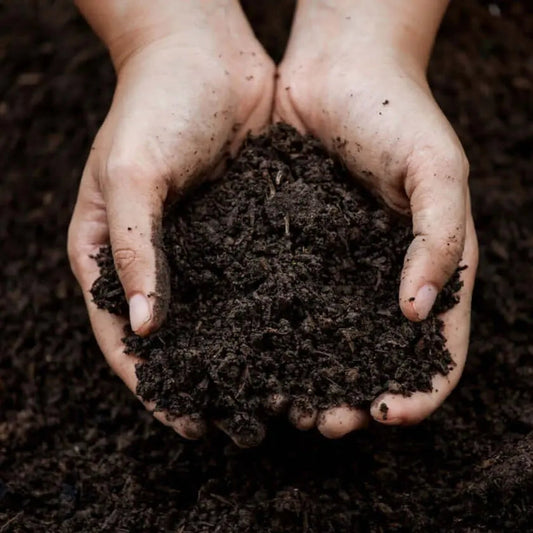Bio Terra Mix | Compost Eco Completo / Saco 15 L._0