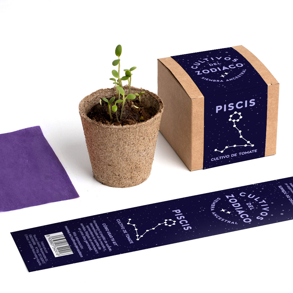 Cultivos Del Zodiaco – Piscis | Kit De Cultivo Con Semillas De Tomate_4