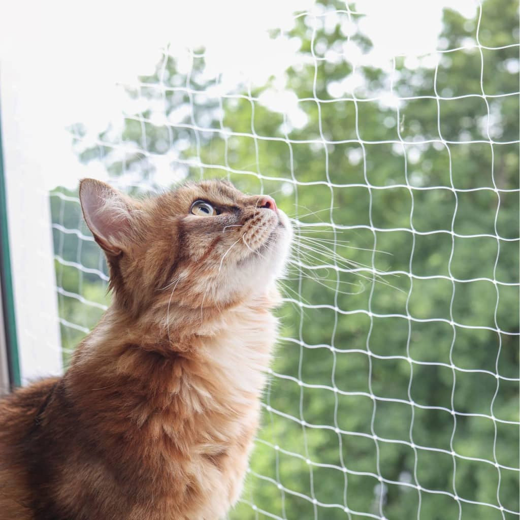 Kerbl Red De Seguridad Para Gatos Transparente 4x3 M_2