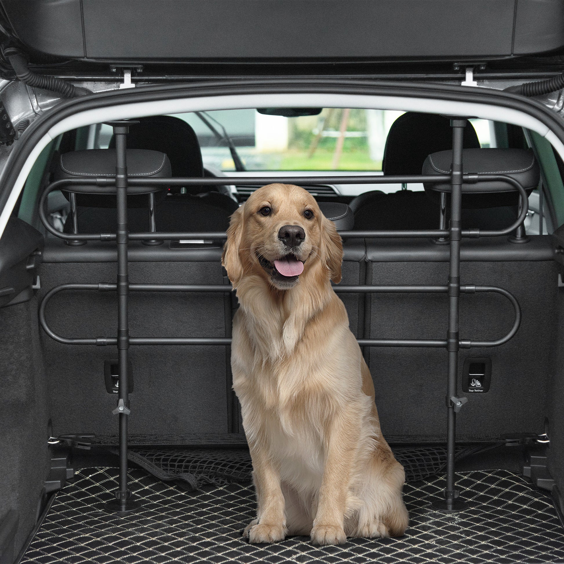 Pawhut Separador De Coche Para Perros Ajustable En Ancho Altura 87-135x60-105 Cm_1