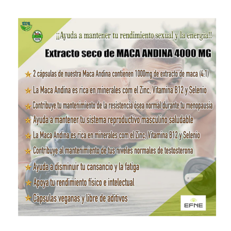 Maca Andina 4.1 Equivalente A 2000 Mg En Planta_5