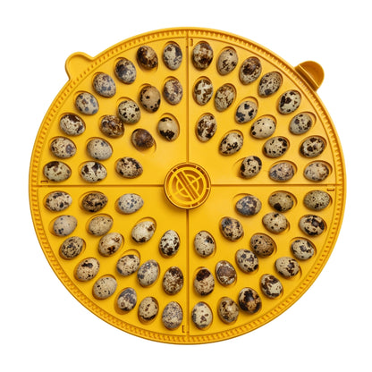 Incubadora Brinsea Maxi 48 Ex - Incubadora Para 48 Huevos De Gallina - Apta Para Diferentes Especies O Tamaños De Huevos_3