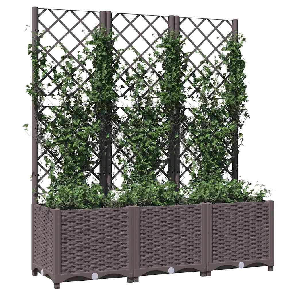 Jardín Marrón 120 X 40 X 136 Cm_2