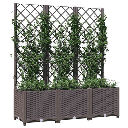 Jardinera De Jardín Con Enrejado Marrón 120x40x136 Cm Pp_2