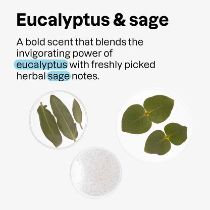 Super leaves men Desodorante Eucalipto & Salvia 75 g