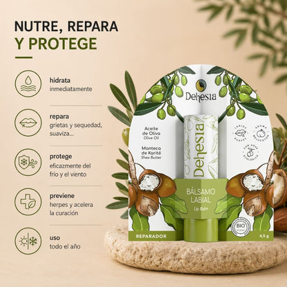 Bálsamo Labial Natural Reparador Bio – Labios Secos Y Agrietados 4,5g_1