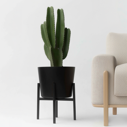 Euforbia Candelabro - Euphorbia Ingens - Altura 85-95cm - ⌀24cm