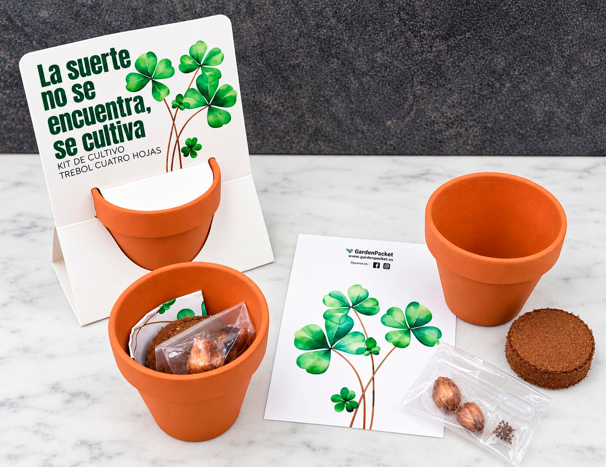 Terracota mensaje trébol cuatro hojas Garden Pocket
