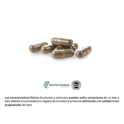 Reishi ( Micelio ) 400 Mg Nature Essential 50 Cápsulas