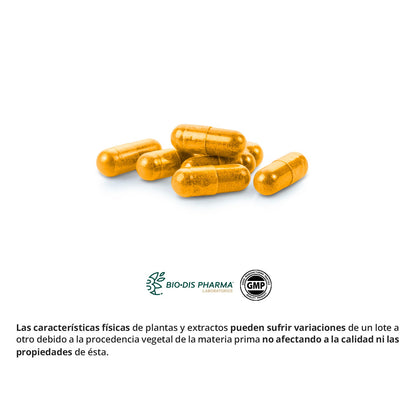 Cúrcuma 5000 mg 95% Curcuminoides + Vitamina C + Pimienta Nature Essential 60 cápsulas