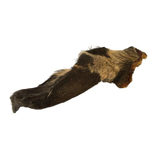 Oreja de Vacuno Puromenu 1 und