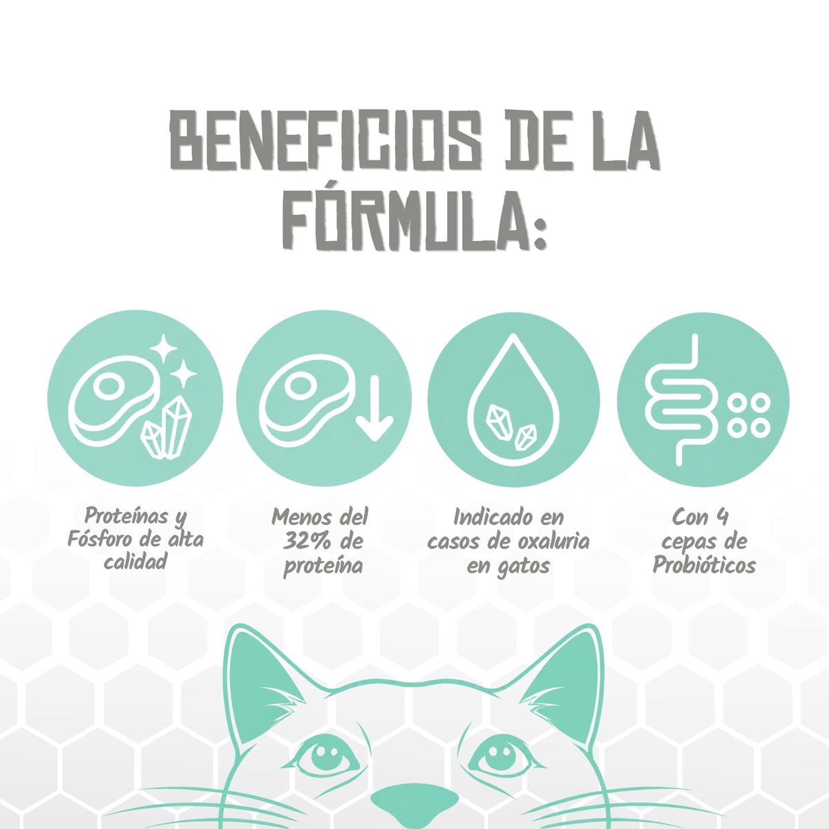 Pienso Veterinario Renal para Gatos Lenda 2 kg