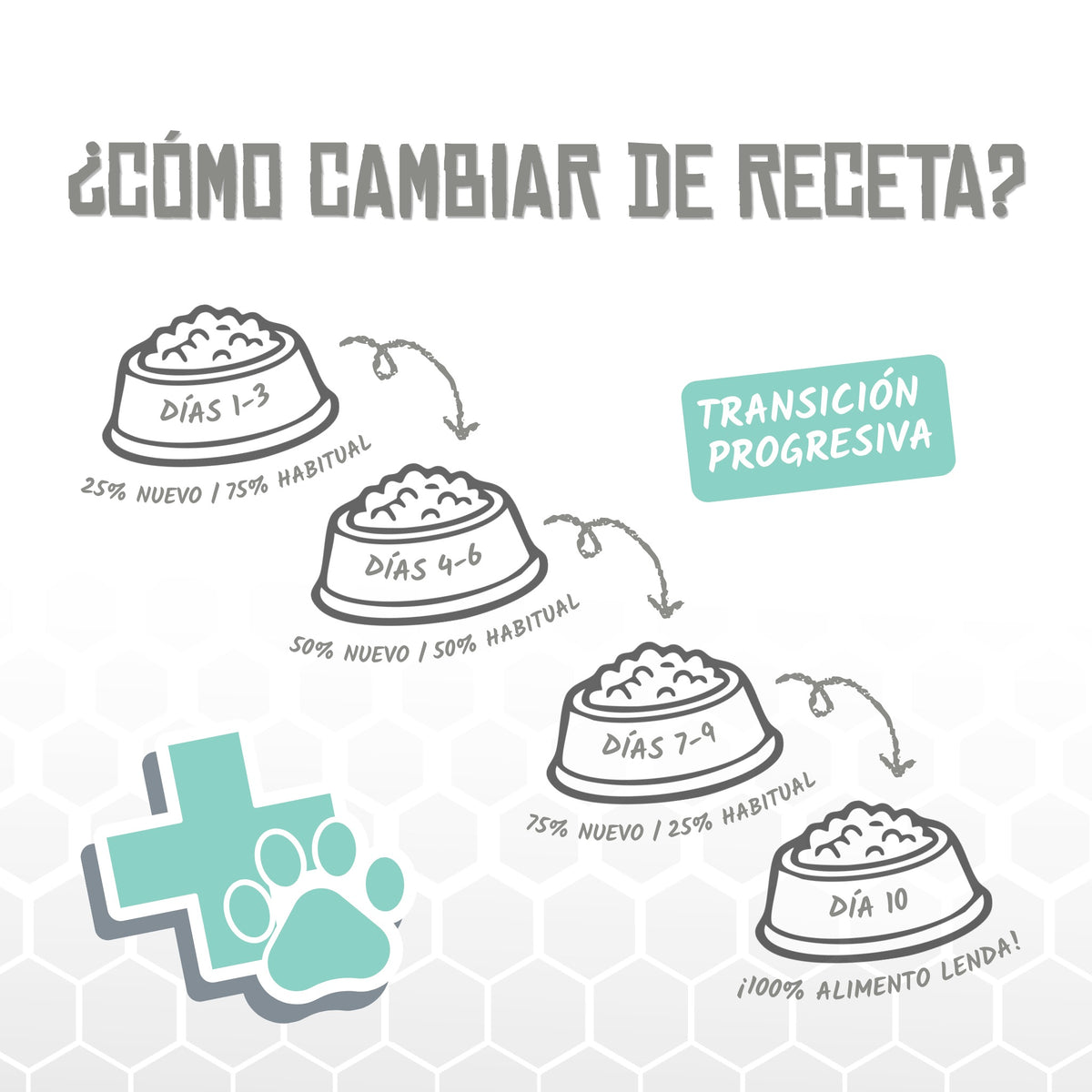 Pienso Veterinario Renal para Gatos Lenda 2 kg