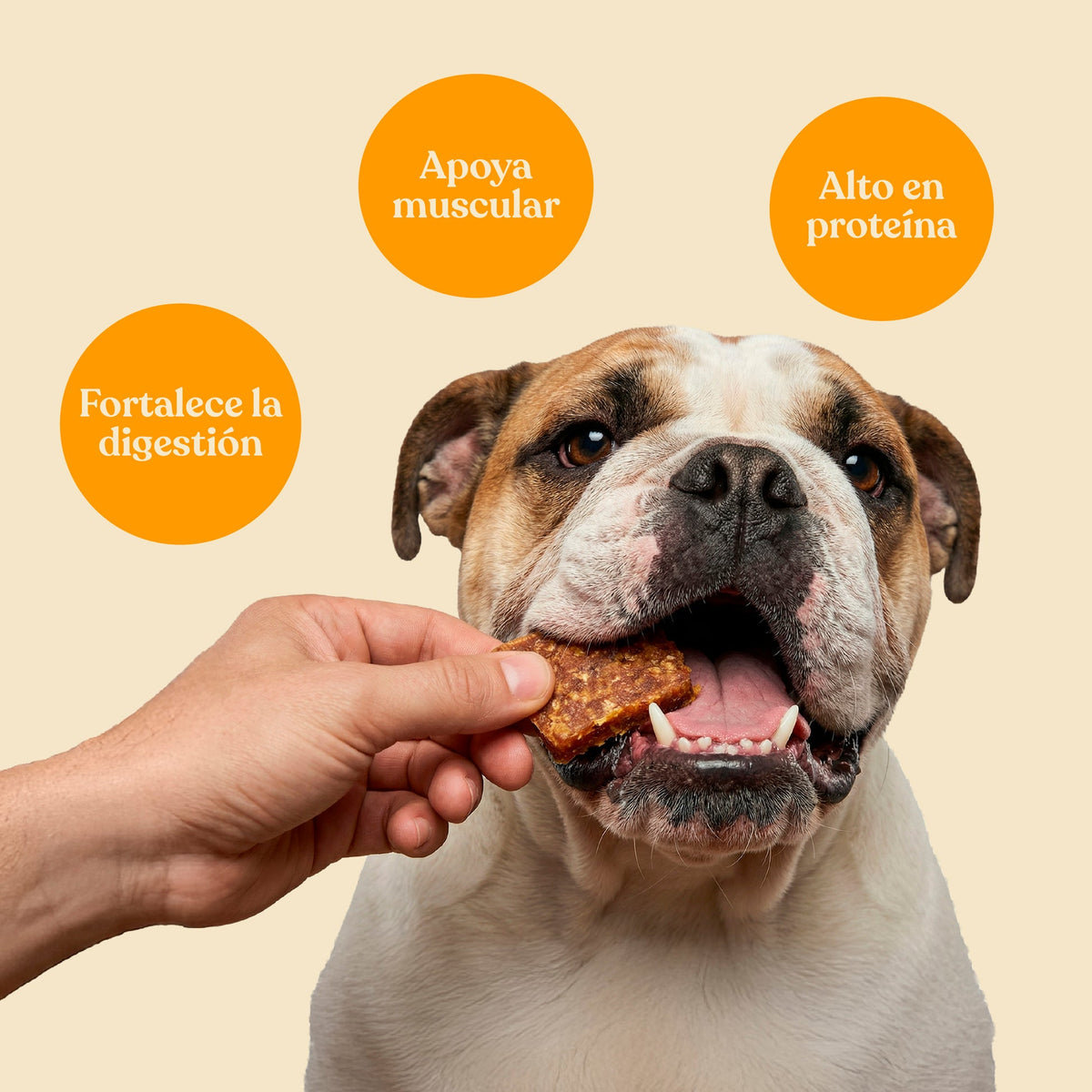 Nuggets de Pollo con Brócoli para Perros 450 g dr.bimix