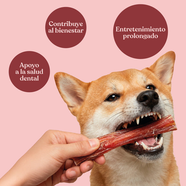 Nervio de Toro para Perros de Larga Duración 15 cm 450 g dr.bimix