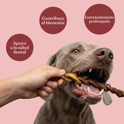 Nervio de Toro para Perros de Larga Duración 30 cm 265 g dr.bimix