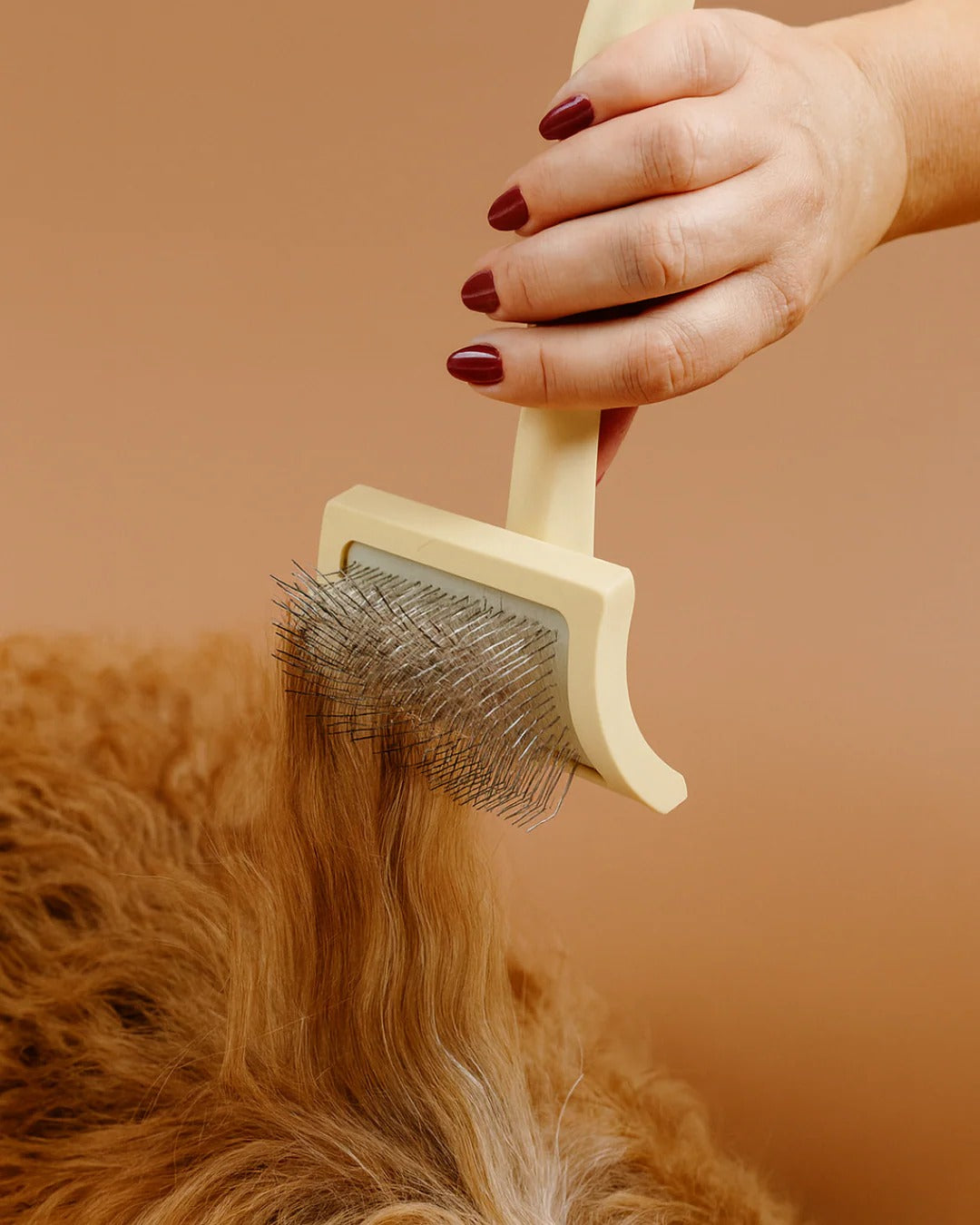 Cepillo desenredante para perros Masco Beauty