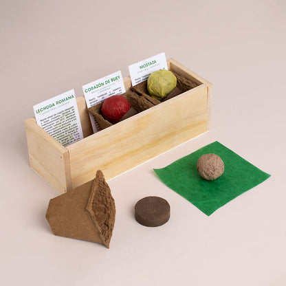 Kit Autocultivo Hamburguesa | Cultiva Lechuga, Tomate Corazón De Buey Y Mostaza En Casa | Regalo Gourmet_1