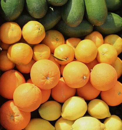 Pack 9kg- Aguacate Bacon (4kg), Mandarinas (2kg), Naranjas (2kg) Y Limones (1kg)_3