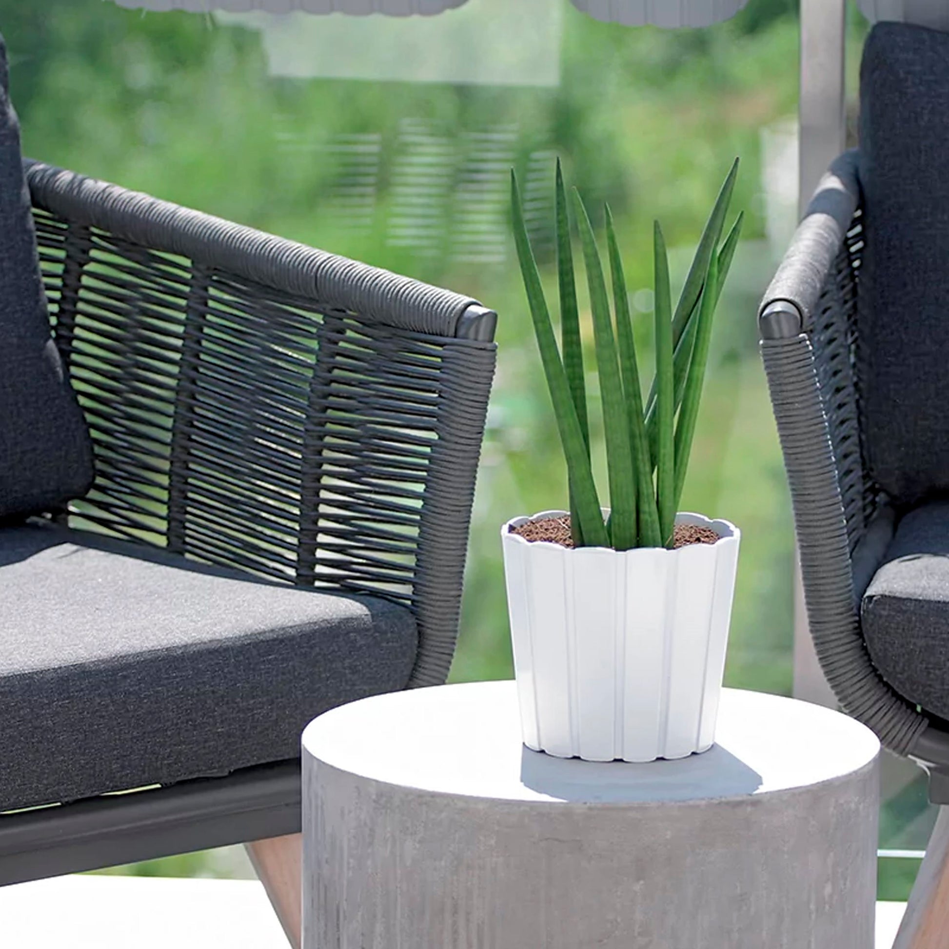 Maceta Boardee Basic 0,8l., Dimensiones (mm) 120x120x109, Color Antracita_4