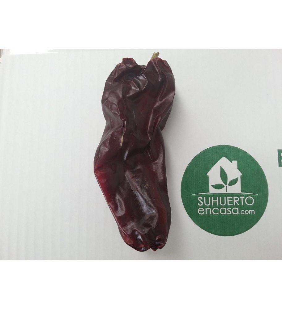 Plantón Pimiento De Secar Corto (10 Unidades)_0