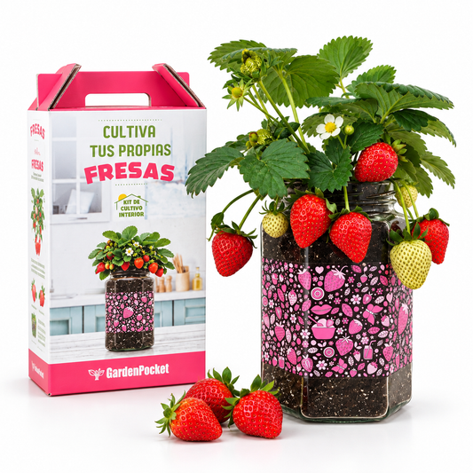 Kit cultivo interior fresas Garden Pocket