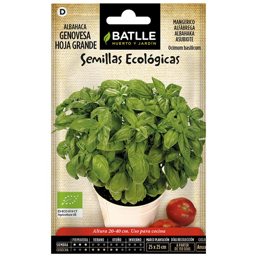 Semillas ecológicas de  Albahaca genovèse hoja grande Batlle