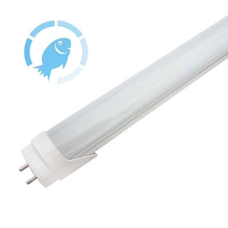 Tubo Led T8, 18w, 120cm, Pescadería, Blanco Frío_1
