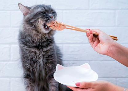 Kit Cat FilletFresh - Caballa a la parrilla 30 g Snack natural para gatos