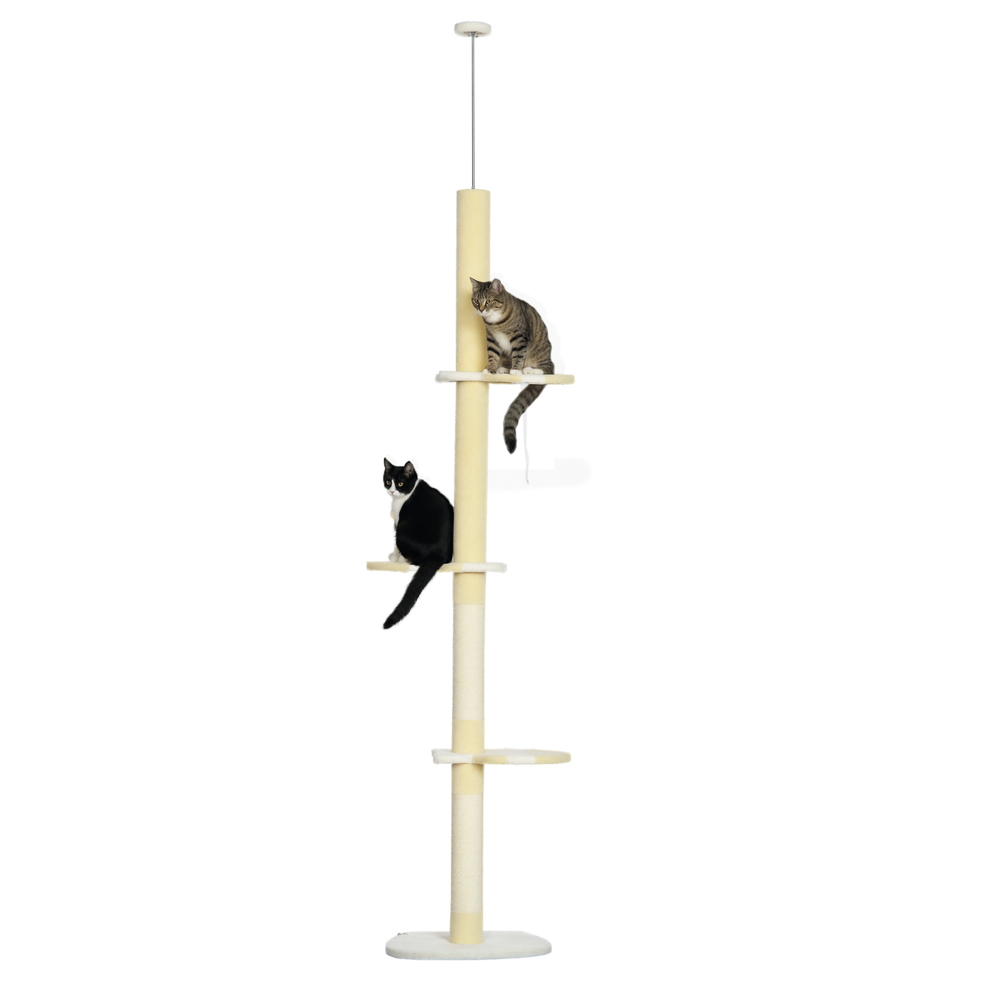 Pawhut Árbol Para Gatos Del Suelo Al Techo 220-260 Cm Con 3 Plataformas Y Bola_0