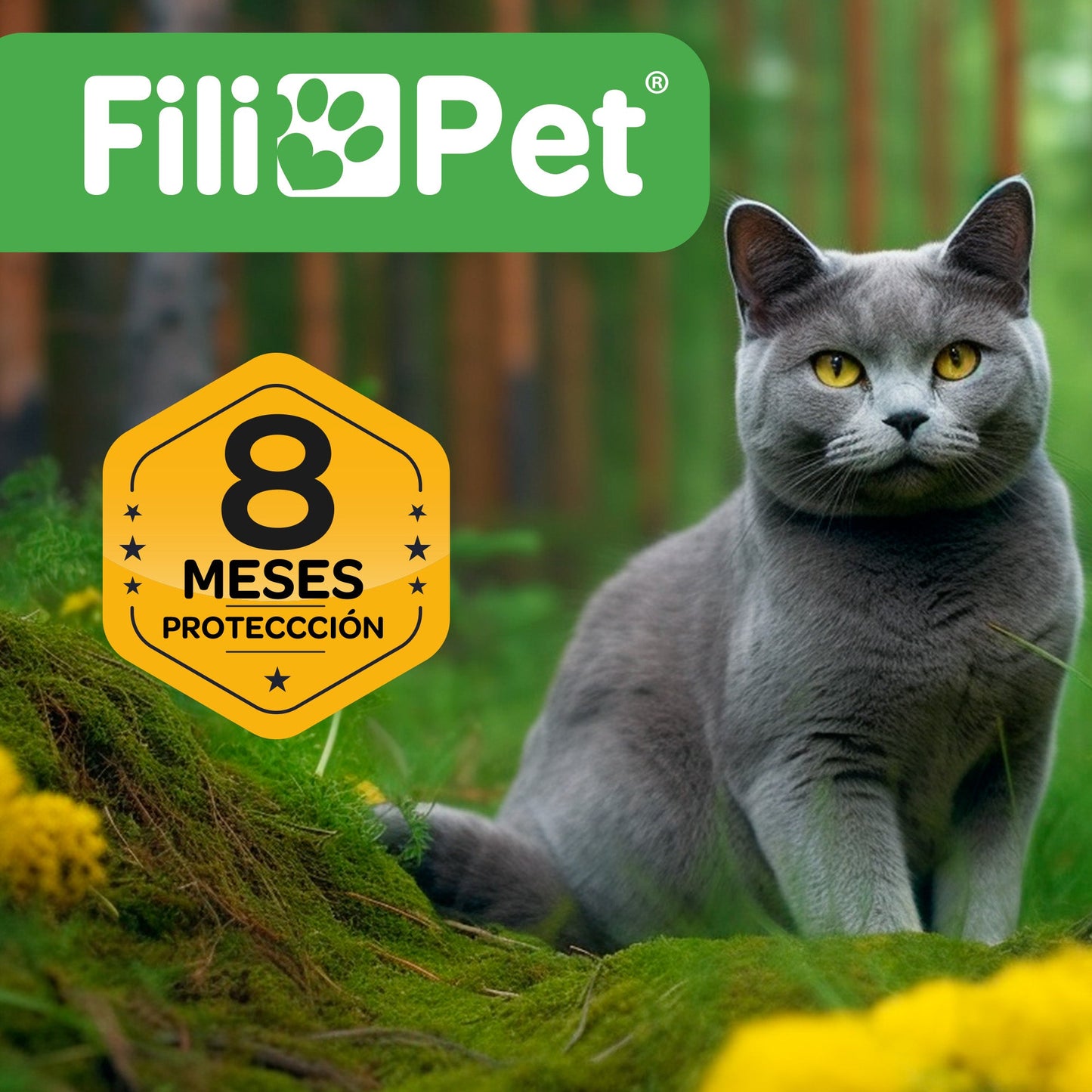 Collar Antiparasitos Para Gato Azul_4