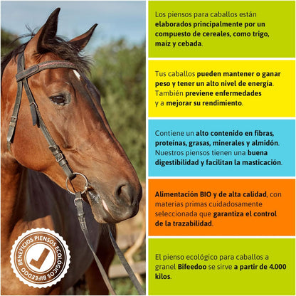 Pienso ECOLÓGICO para Caballos Mantenimiento 20kg – Alimentación Natural y Equilibrada_2