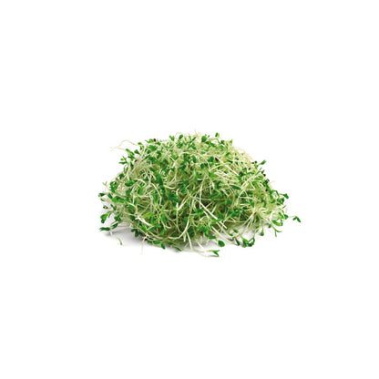 Alfalfa 400 mg 200 Comprimidos El granero