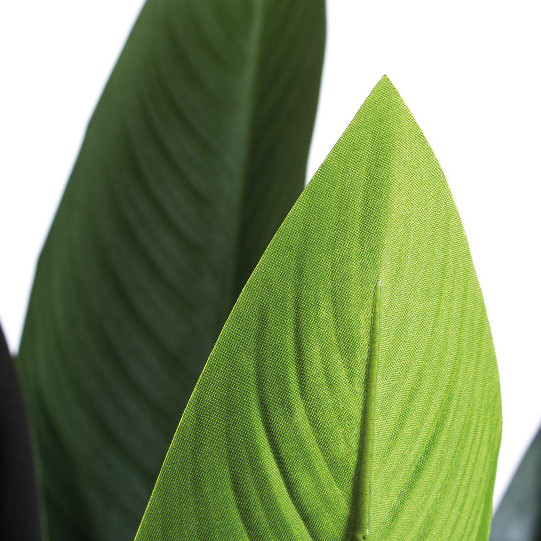 Planta Artificial Ave Del Paraíso 1.88 M / Multicolor_0