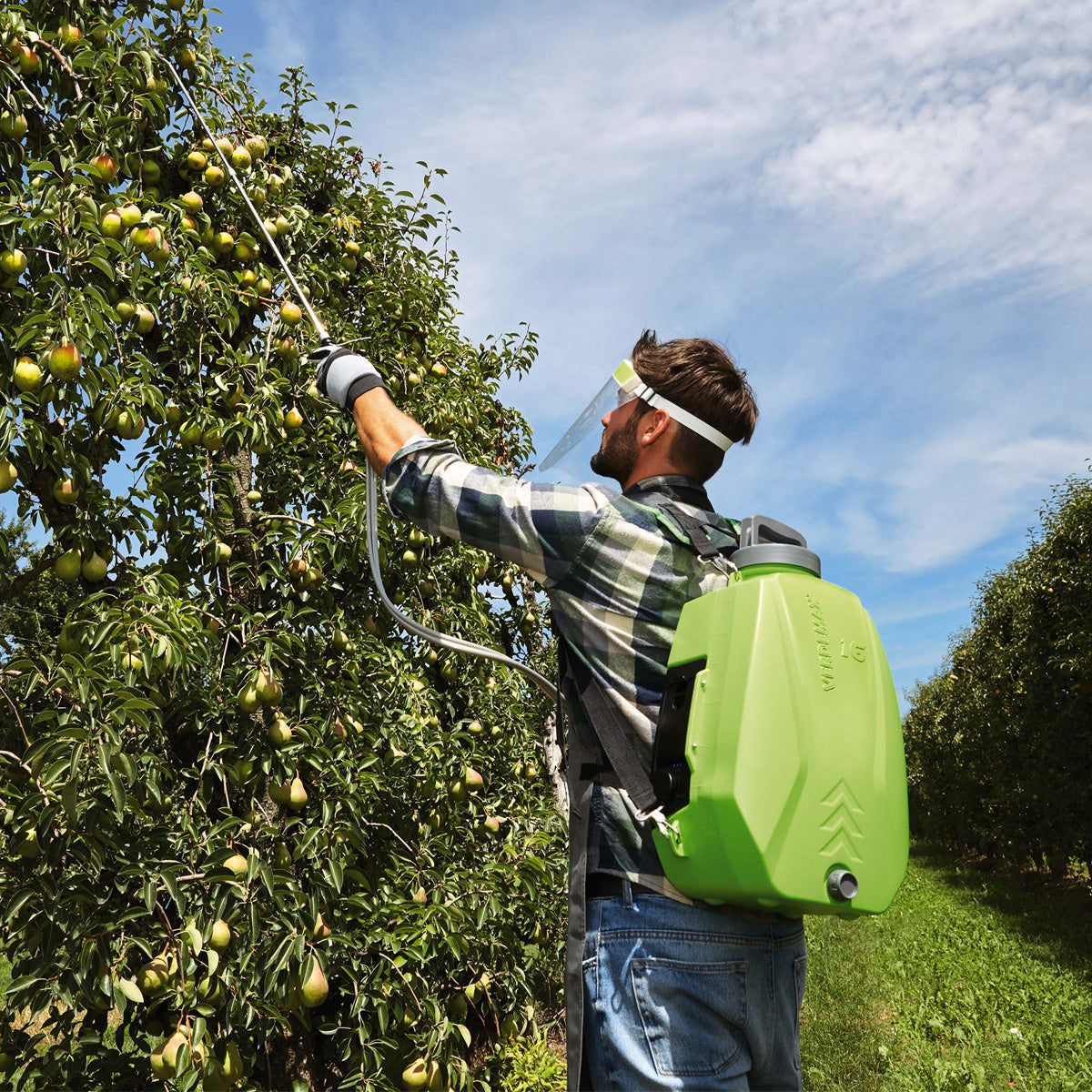 Pulverizador de mochila batería 16 l Verdemax