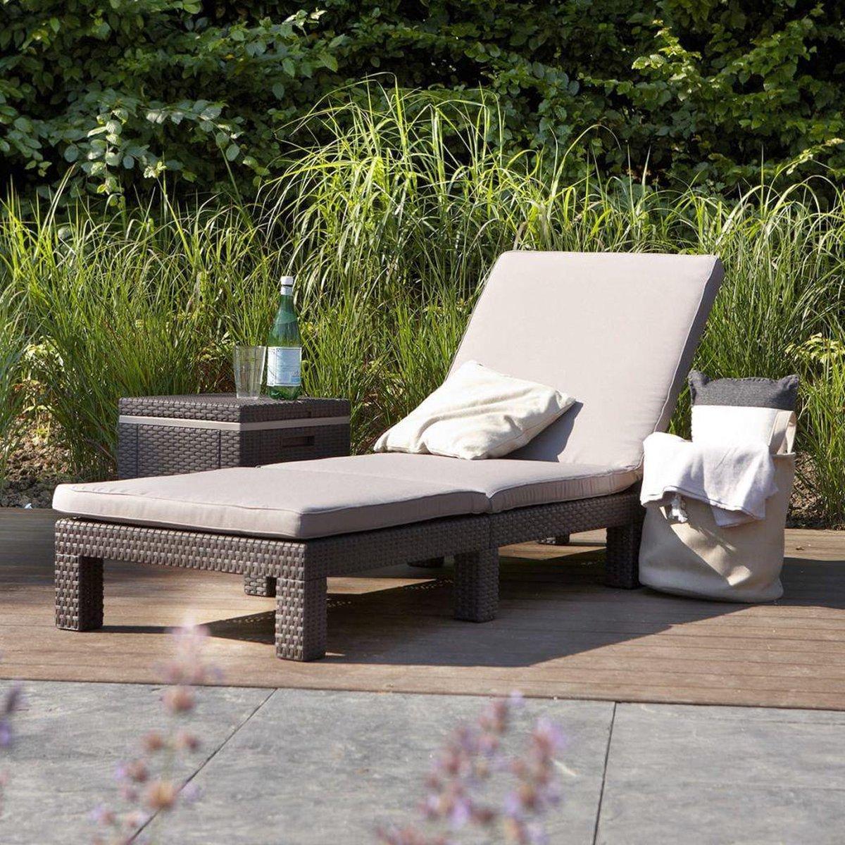 TUMBONA DAYTONA DELUXE 195 x 65 x 25 cm - Varios colores Marrón