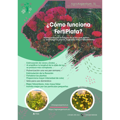 Abono Líquido y Nutriente Foliar para Plantas de Interior y Exterior 500 ml_1