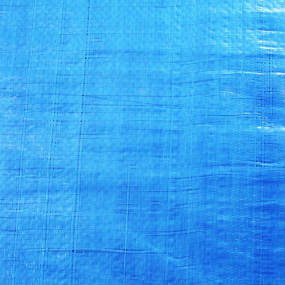 Toldo Rafia 2,90x5,90 Azul C/ Ollaos (3x6 M)_3