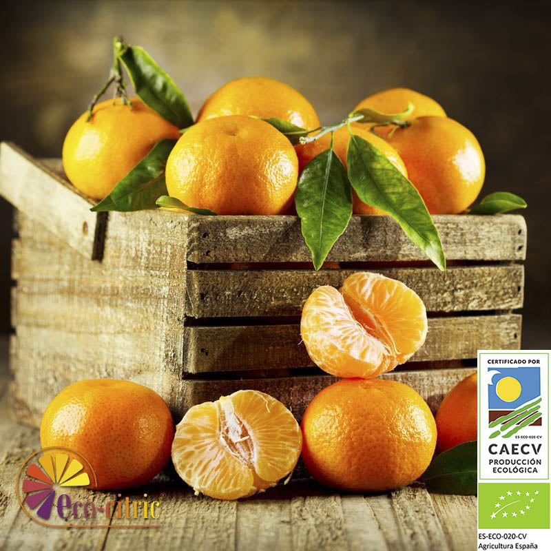 Mandarina Ecológica 20kg._0