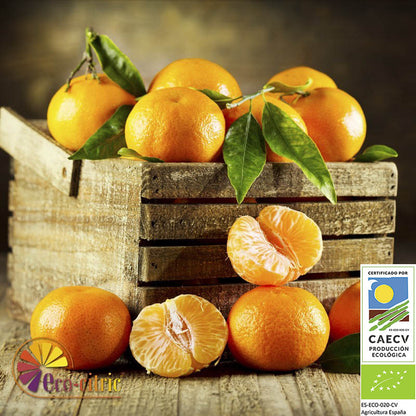 Mandarina Ecológica 20kg._0