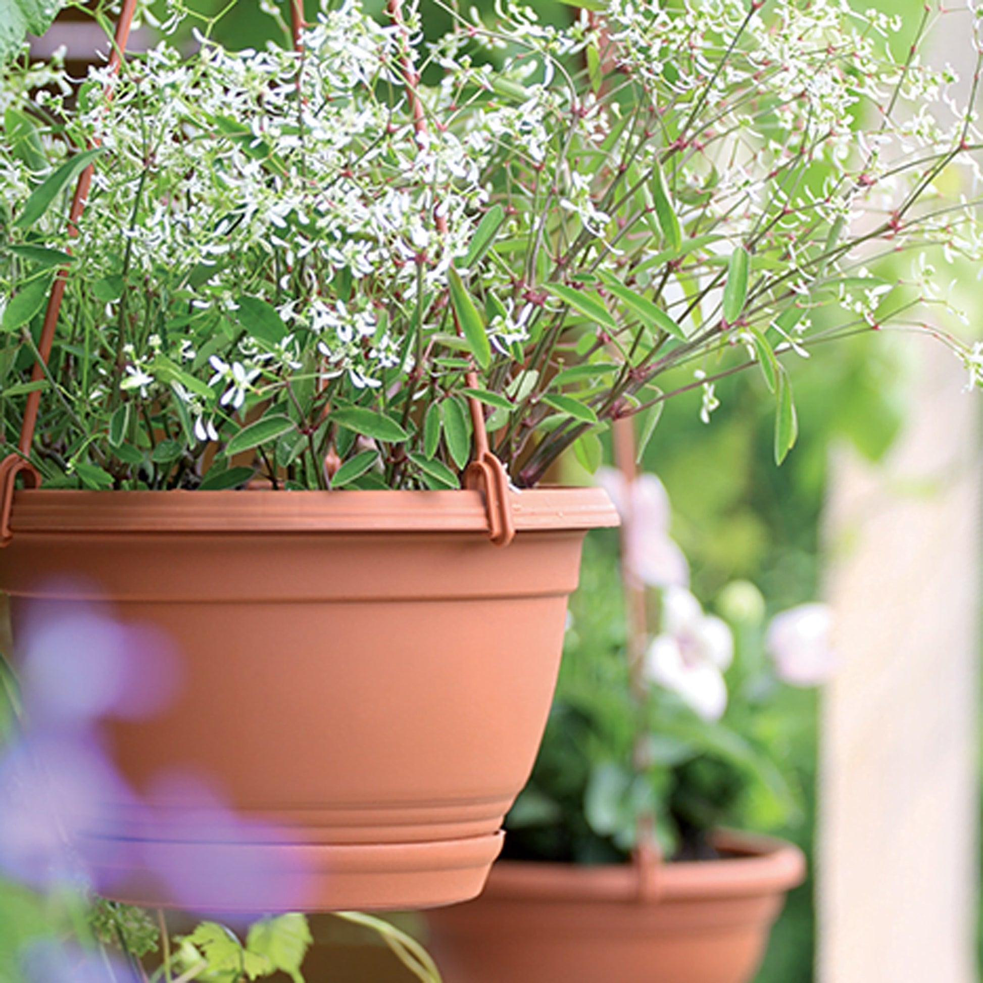 Macetero Colgante Agro 0,8l., Dimensiones (mm) 160x160x100, Color Terracota_1