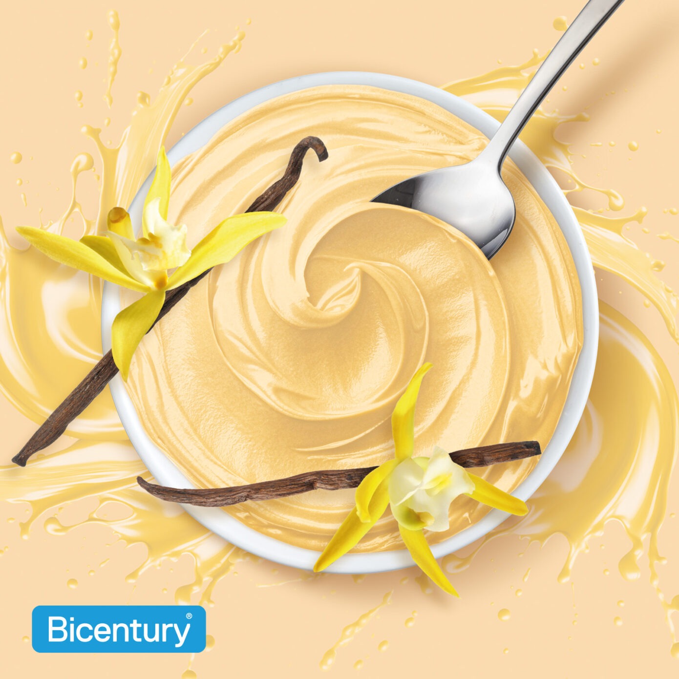 Crema Completa Vainilla BICENTURY 540g