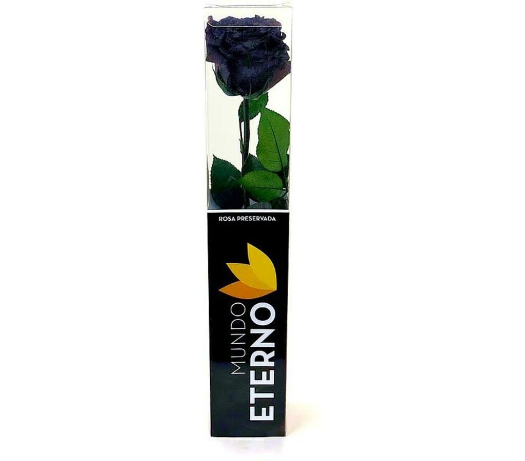 Mundo Eterno Rosa Preservada Negra 25cm