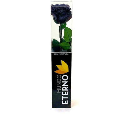 Mundo Eterno Rosa Preservada Negra 25cm