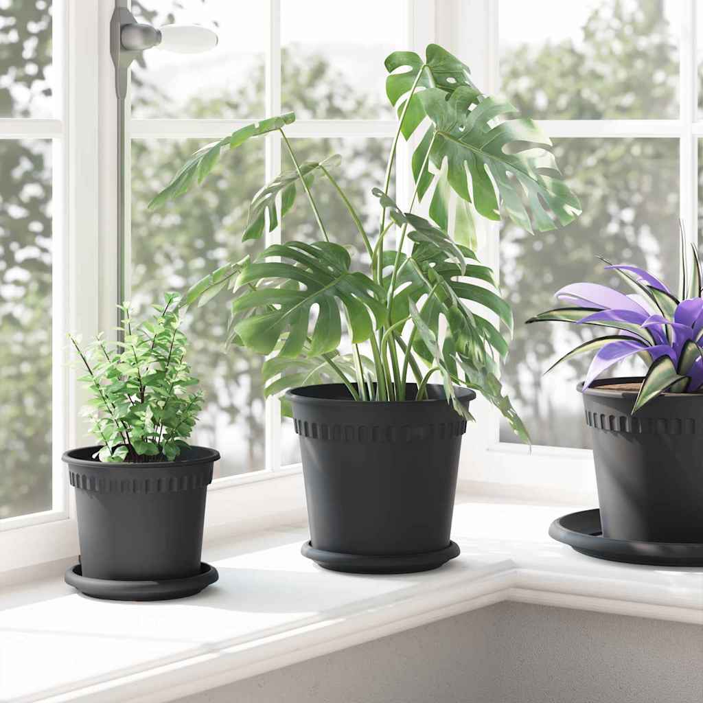 Maceta Redonda Para Flores 6 Pcs Negro Ø 19 X 16 Cm Plástico_3