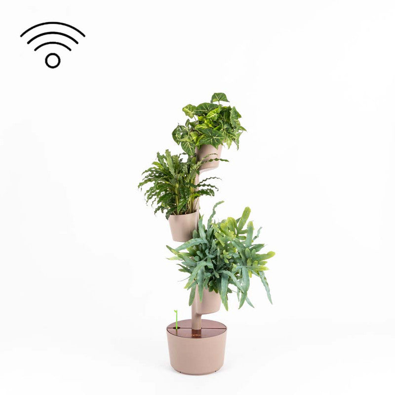Macetero Vertical Citysens 3 Macetas Con Riego Inteligente Color Corteza De Pino Y Madera Teka, Con 3 Plantas De Regalo_0